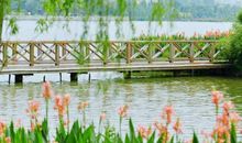 游海珠湿地公园