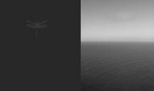 道德没有灰色地带