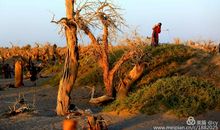 用傲骨撑起中国魂