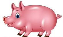 我是一只小海龟