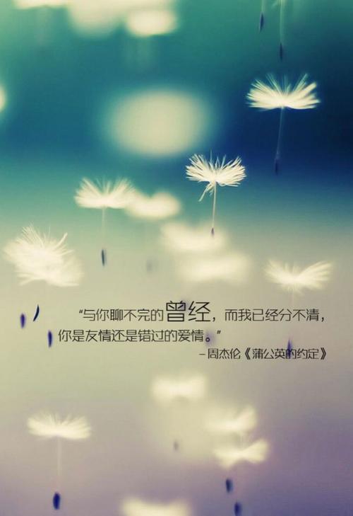 从那时起，我不再小