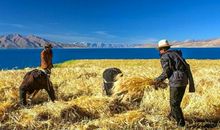 无法忘记的记忆