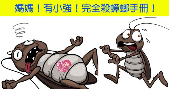 写蟑螂的成分