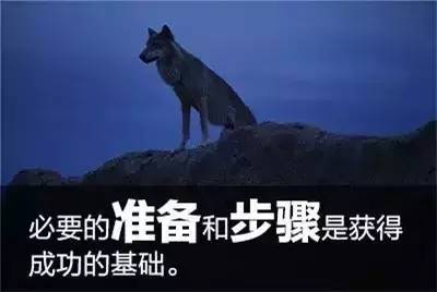 狼的启示
