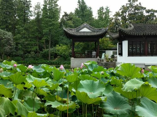 古伊花园游记