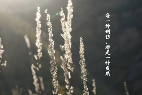 受伤一次