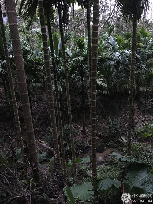 窗外的小河