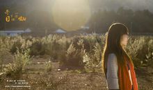 冬日里的一缕暖阳