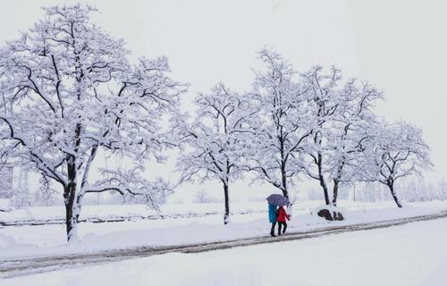 爱在雪中