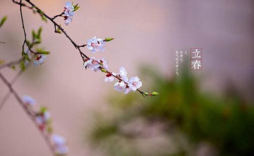 花朵不仅在春天绽放