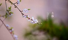 花开不只在春季