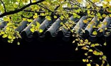 关于秋雨的记忆