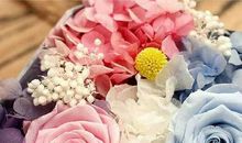 班里的“芳香”