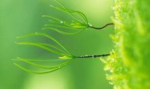 有时候经历也是一种成长