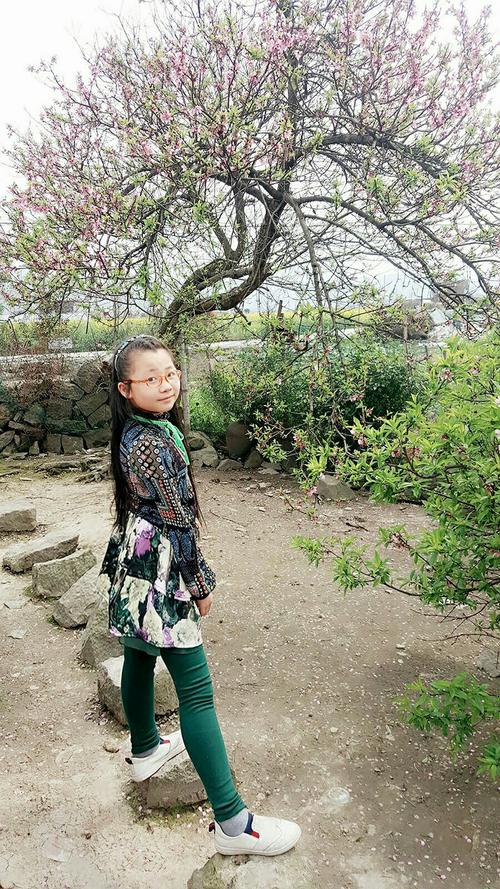 奶奶的小院子组成
