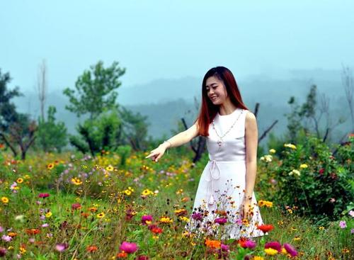 首次与“技术种植”紧密联系