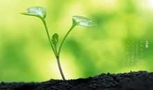 春天一年的开始