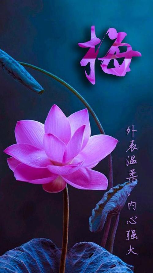 我班上有香
