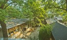 奶奶家的小院子