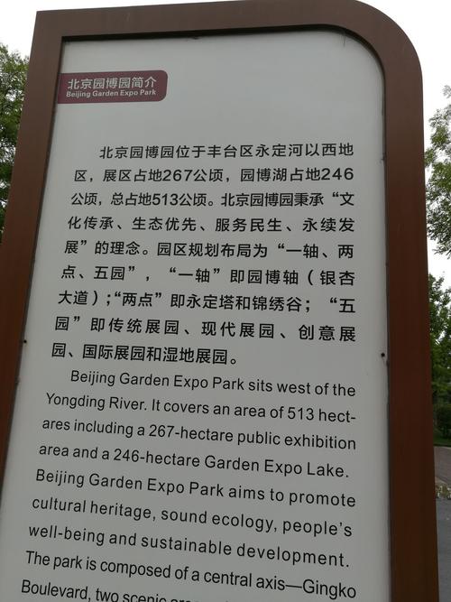 青春适合飞行