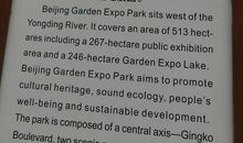 青春作伴好飞翔