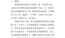 我的动物朋友作文开头