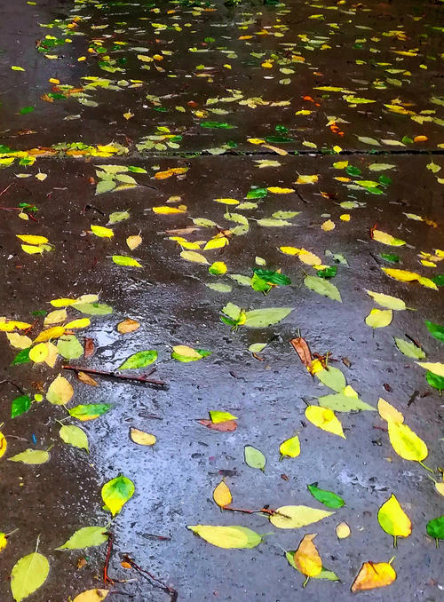 我们是风雨无阻