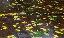 风雨无阻的我们