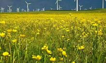 和草原有个约会