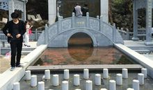 九峰公园志愿者