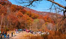 秋诗·秋画·秋韵