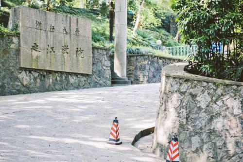 校园的山坡上