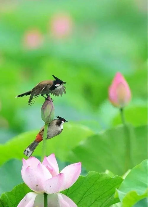 人生因挫折而美好