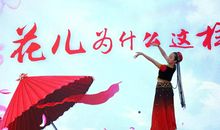 花儿为什么这样红