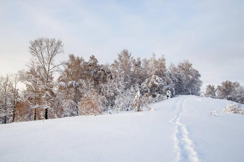 雪中​​的路径