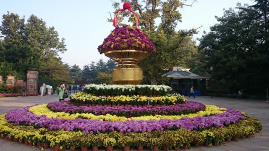 学校花坛