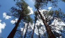 不一样的一星期