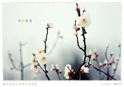 奥雪汉美的启示