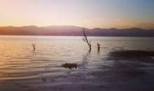 难忘的第一次冲浪