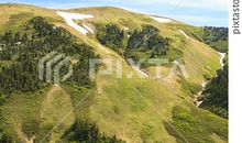 那束精神蜿蜒我们之间