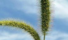 感悟生命的每一步_500字