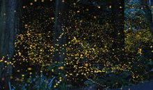 我在厦门度暑假