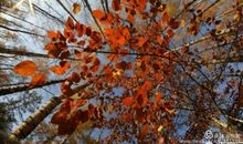 关于土炕的回忆