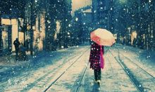 获得友情是简单的事