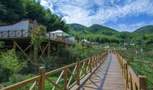 阳光神与雾霾神