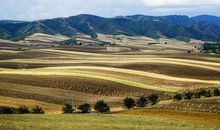 美不胜收的菜园