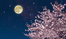 花开满径，天心月圆