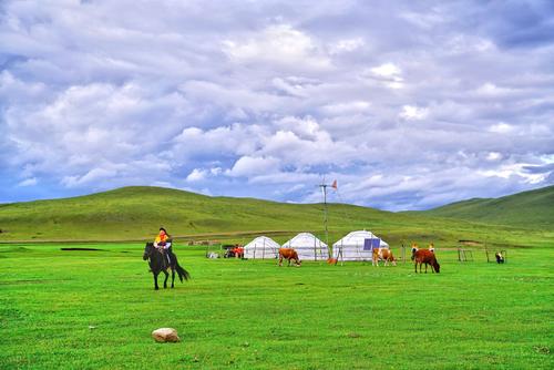 一次难忘的草地旅行