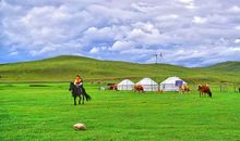 难忘的草场之行