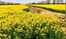 朋友在的感觉真好